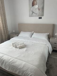 Arcadela House - Sînmartin - 3