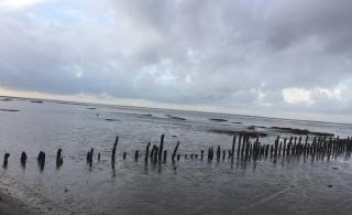 Ferienwohnung Strandräuber - Carolinensiel - 6