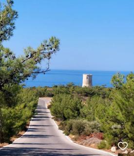 Vigliata Sidirounta Traditional Stonehouse - 8