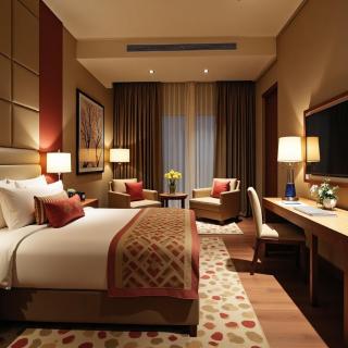 Hotel Urban Royale - IGI Airport Delhi - Nuova Delhi - 2