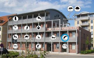 Hafendomicil Appartement WH06 - Hase - 1