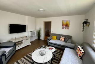 Apartman - stan na dan Four H - 8
