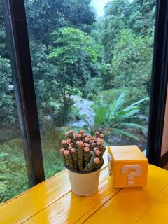 Top River Nest- Upper Floor - - 4