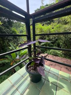 Top River Nest- Upper Floor - - 5