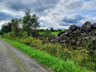 Ferienwohnung Landidylle - 9