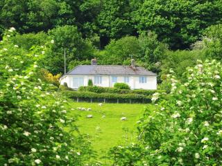 Forest Cottage - Discoed - 8