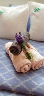 Wellness & Sport Hotel TTC - 8