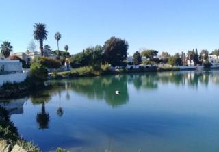 Un joli Studio meublé - La Marsa - 7