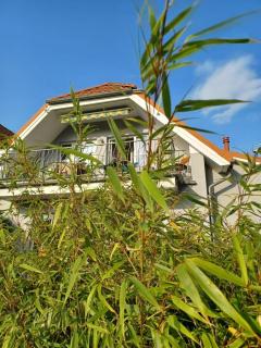 Sonnige Zeit - 60-08 - 6