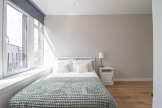 Alexandra Apartment - Falkirk - 4