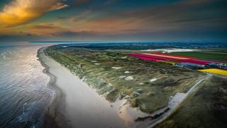 Zeester 189 - 3