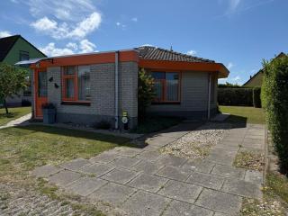 Zeester 189 - 1