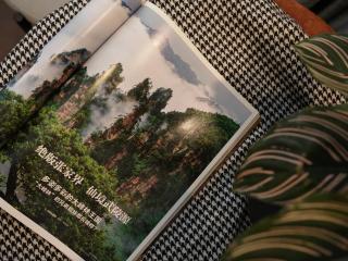 Zhangjiajie Tianmen&National Forest Park-Free pick up -free lanudry Close to the Hehua airport&Zhangjiajie West Railway Stetion -English language service Thirty One - 1