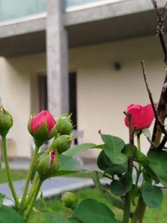 Garden House - Sondrio - 1