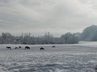 Hofgut Bentele - Deggenhausertal - 1