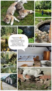 Spreewaldpension Beesk - Raddusch - 3