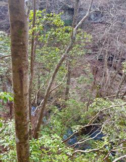 Mossy Falls Cabin by Leavetown Vacations - - 4