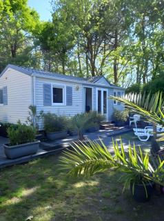 Studio et Mobil-home climatisé - 4