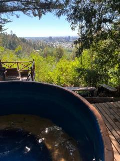 Domo Temuco, Cumbre del Conuhuenu - Temuco - 3