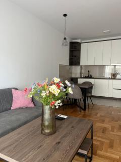 AMBIENT apartman - Trebinje - 6
