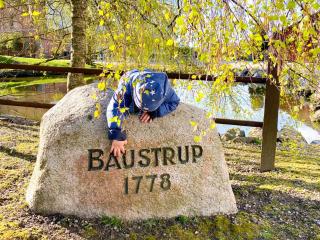 Ferienhof Baustrup - Mohrkirch - 8