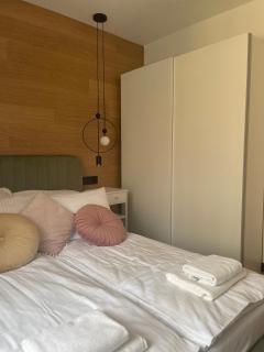 Apartament Piastowski 21 - Jelenia Góra - 9