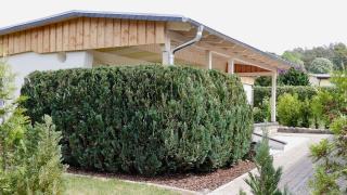 Bungalow am See - Basedow - 5