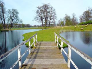 Bungalow am See - 9