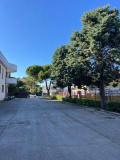 La Casa dei Pini - 5
