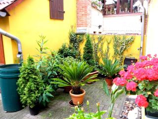 Ferienhaus - Teterow - 9