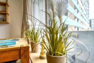 Ferienpark - Haus K, App 0K0501 - 2