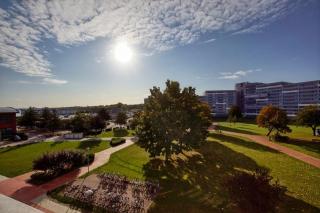 Ferienpark - Haus B, App 0B0207 - 9