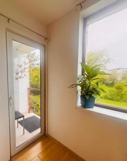 Apt comfortabil cu parcare inclusa aproape de Univ, Spitale, Centru - Cluj-Napoca - 1