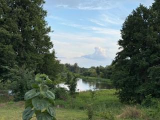 Dom nad rzeką Wartą - 2