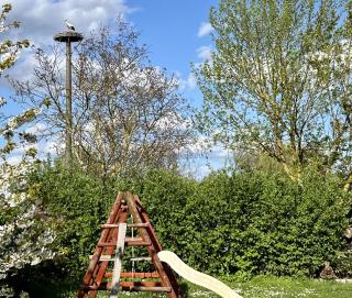 Ferienwohnung Angeln und Segeln - Grabowhöfe - 4