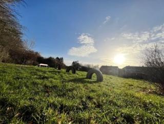 Ferienwohnungen Rügen mit Hund - - 2