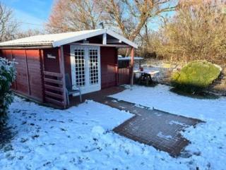 Ferienwohnungen Rügen mit Hund - 8