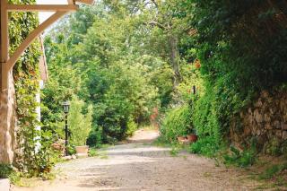 Les Grangeonnes, gîtes nature, piscine, bain nordique, sauna pour accueil familiale ou de groupe - 0
