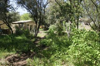 Gîte Obofix - Vallabrix - 7