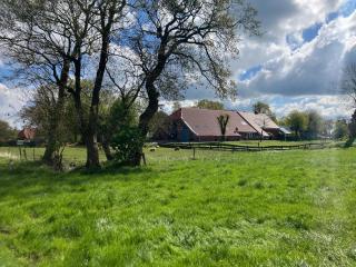 Ferienwohnung Bruns - Ihlow - 6