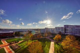 Ferienpark - Haus C, App 0C0606 - 9