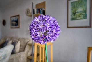 Ferienpark - Haus E, App 0E1205 - 3