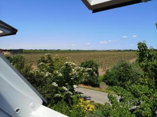 Hof Sonnenschein - Jork - 8