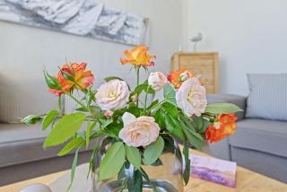 Appartements Villa Glückspilz OFC 27 - 1