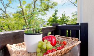 Ahlbecker Höhe App Muschelkästchen - 7