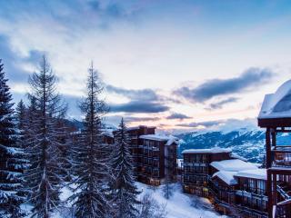 Les Arcs Résidence Les Monarques by Leavetown Vacations - 2