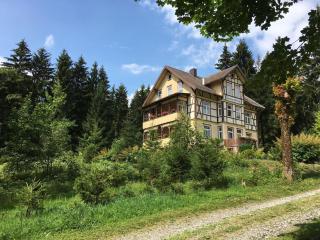 Haus Sonnenblick - Benneckenstein - 4
