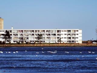 "Strandhuus", Steinwarder 33, EG, Wohnung 1 - 8