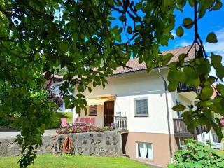 Ferienwohnung Grünspecht - Dellach im Drautal - 9