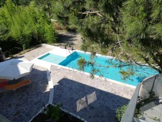 Liza 5 - Palazzo Vianello - 7